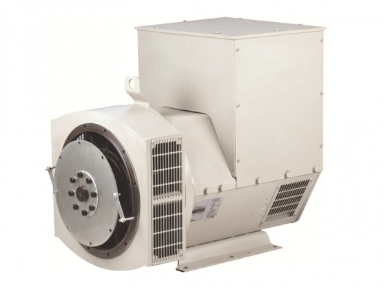 224 Series Brushless Synchronous AC Alternator 